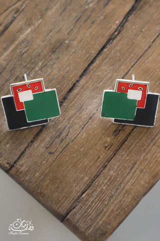 Abstract Watermelon earring